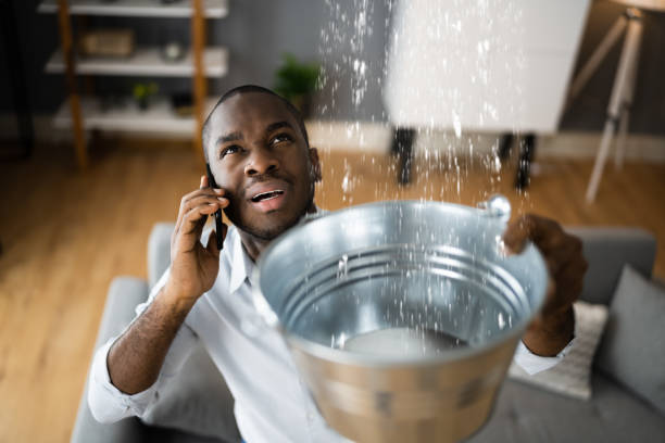 Best Sewage cleanup and water damage restoration  in Arcanum, OH