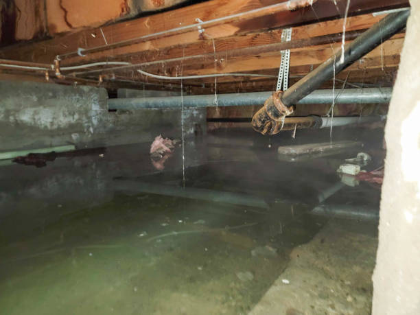 Best 24-hour water damage restoration  in Arcanum, OH