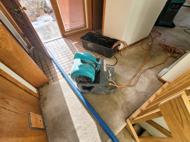 Best Water damage restoration services  in Arcanum, OH