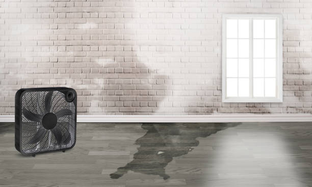 Best Emergency water damage restoration  in Arcanum, OH