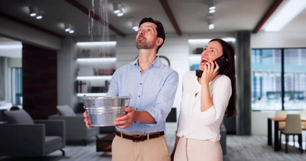 Best Mold removal after water damage  in Arcanum, OH