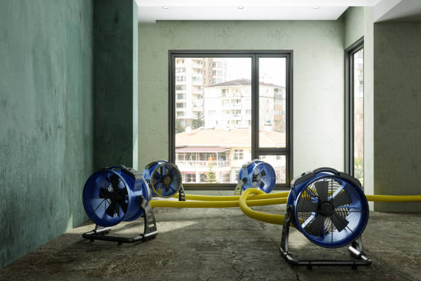 Best 24-hour water damage restoration  in Arcanum, OH